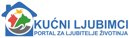 Kućni ljubimci