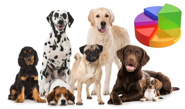 Sklonost agresiji s obzirom na pasminu psa