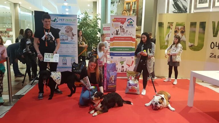 Kako je protekao četvrti „Vau Vikend“ u King Crossu