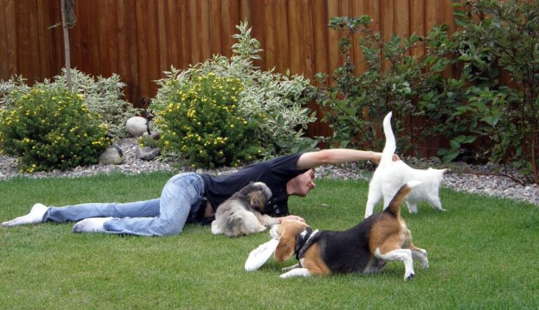 10 savjeta kako biti dobar vlasnik ljubimca