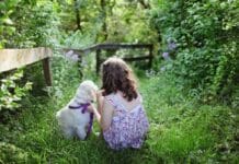 Kako psi pomažu djeci s autizmom?