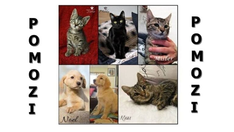 Lažni udomitelj iz Zagreba