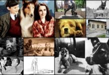 Najpoznatiji psi u povijesti