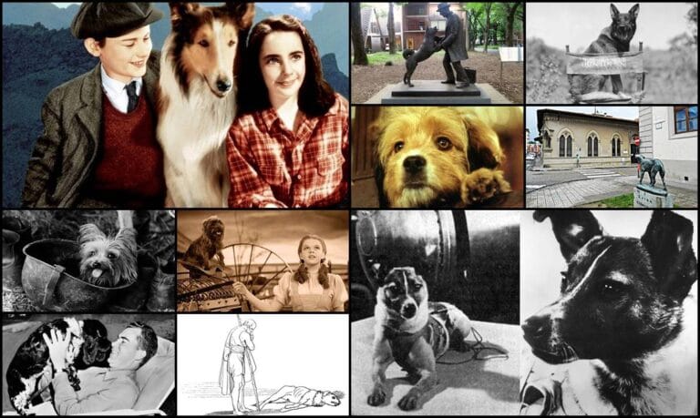 Najpoznatiji psi u povijesti
