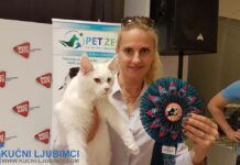 Foto – Video Međunarodne izložbe mačaka u West Gate-u