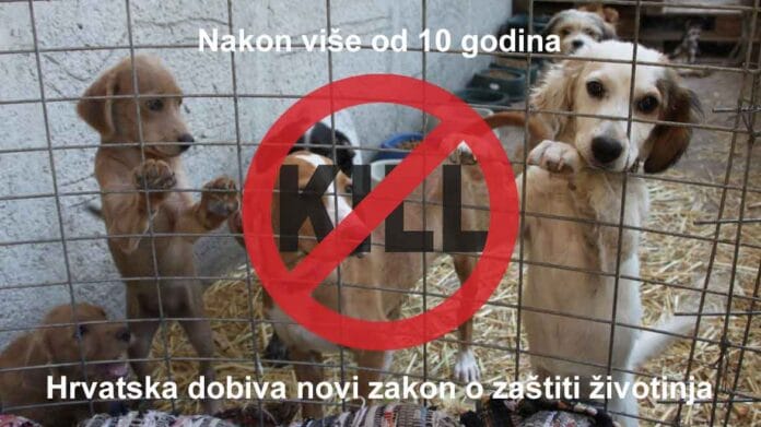 Nakon više od 10 godina Hrvatska dobiva novi zakon o zaštiti životinja