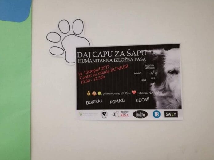Humanitarna izložba pasa – Daj capu za šapu
