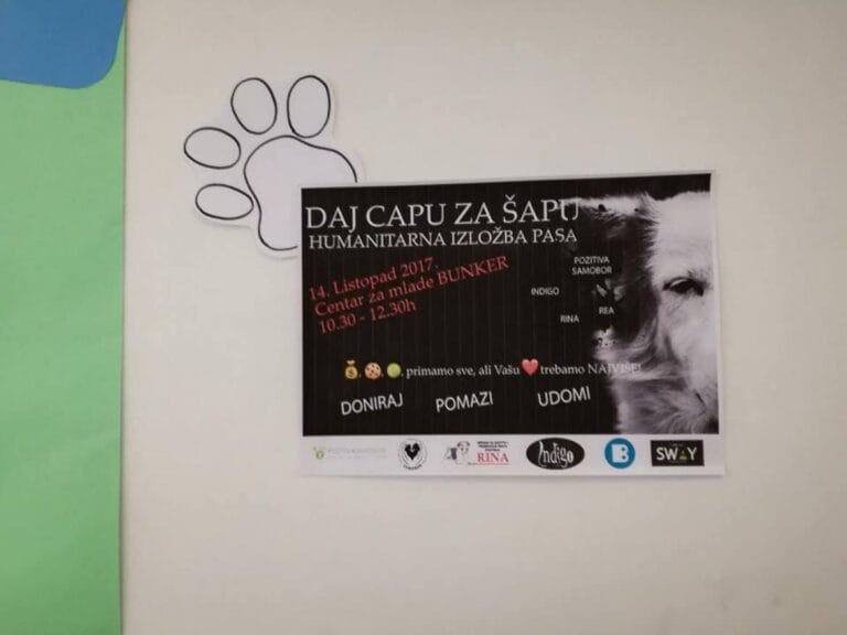 Humanitarna izložba pasa – Daj capu za šapu
