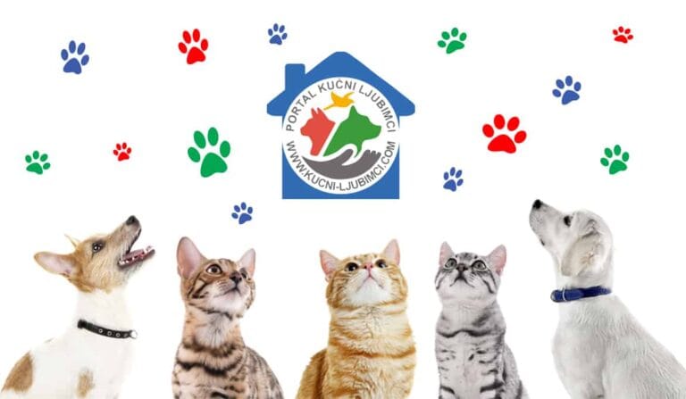 Istina o mačkama i psima