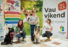 Kako je protekao peti Vau vikend u King Crossu?