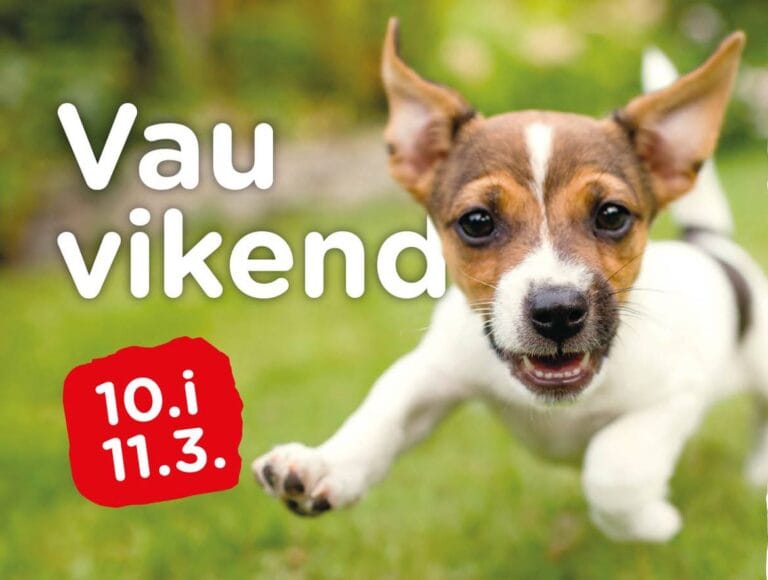 Pridruži nam se na Vau-vikendu!