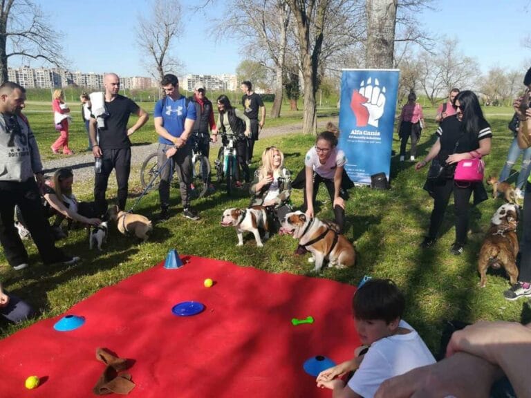 Alfa Canis – natjecanja i eventi za svibanj 2018.