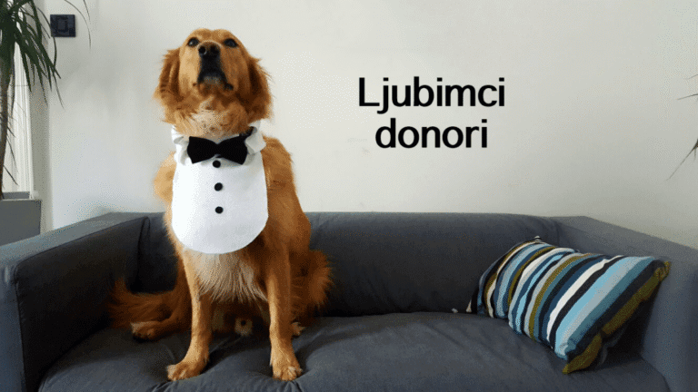Ljubimci donori