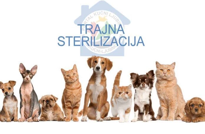 Propisana trajna sterilizacija pasa i mačaka u Zagrebu