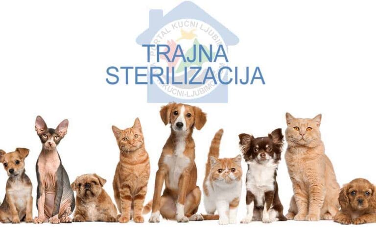 Propisana trajna sterilizacija pasa i mačaka u Zagrebu