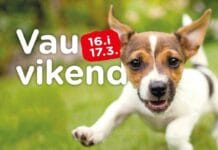 6. Vau Vikend u King Crossu 16. i 17.03. Vidimo se!