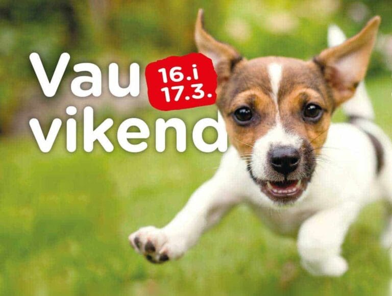 6. Vau Vikend u King Crossu 16. i 17.03. Vidimo se!