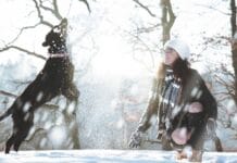 Snježne aktivnosti s ljubimcima